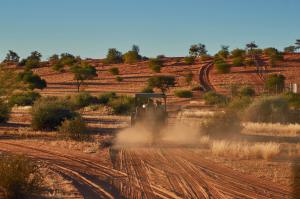 Kalahari Exkursion