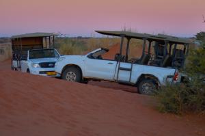 Kalahari SundownerNamibia