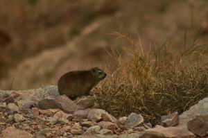 Fish-River-CanyonNamibia