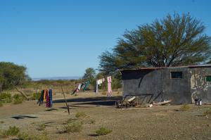 KöcherbaumwaldNamibia