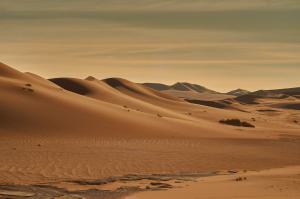 Wüste NamibNamibia