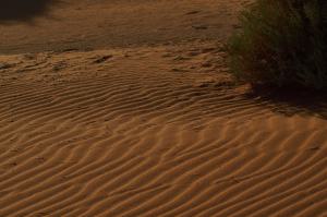 Wüste NamibNamibia