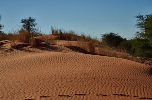 ExkursionNamibia