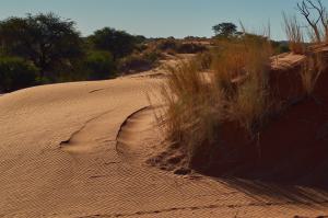 Windhoek ExkursionNamibia