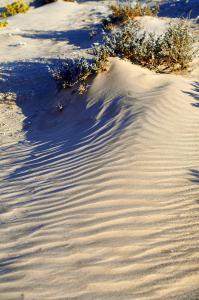 Kolmanskop Geisterstadtdie Natur siegt immerNamibia